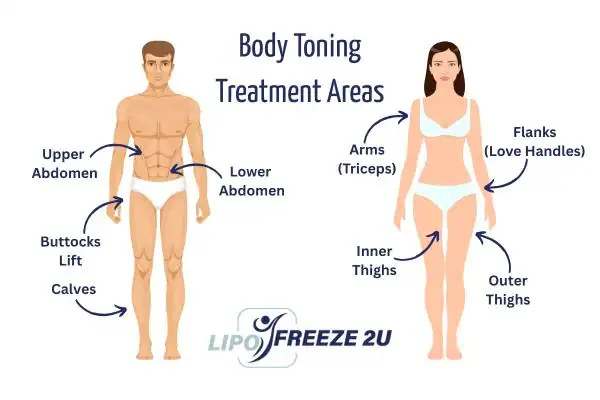 Graphic showing where you can have Body toning Treatment Melton Mowbray on your body